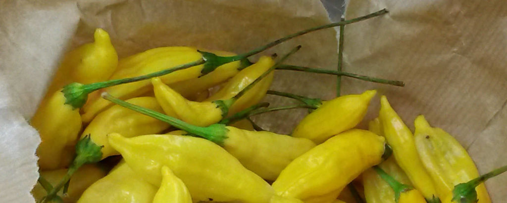 Hot Lemon Chilis